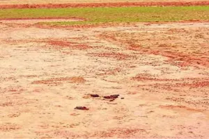 परवन परियोजना : झालावाड़ के डोलारा गांव की भूमि अधिग्रहण प्रक्रिया को मिली मंजूरी, लगभग 110.21 हेक्टेयर भूमि के प्रभावितों का होगा पुनर्वास