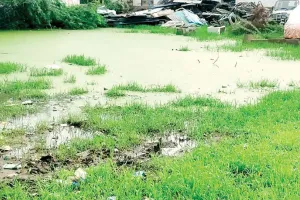 समस्या: नाले के अभाव में कई बस्तियों में होता है जलभराव