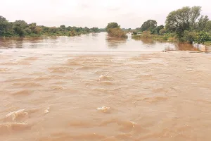 प्रदेश में भारी बारिश ढाबा गांव टापू बना : हनुमानगढ़ में साढ़े चार इंच बारिश, कोटा में युवक की मौत
