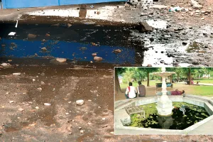 रोज 720 टीमें कर रही सर्वे, नहीं दिख रहा असर, पनप रहे मच्छर 