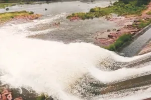 मानसून की जलधार : तीन दिन में 20 की मौत, प्रदेश में नदी नाले उफान पर