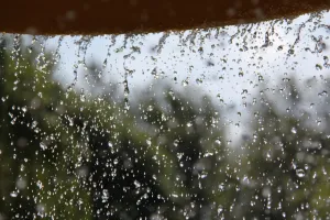 प्रदेश में मानसून सक्रिय, जयपुर, पाली, जोधपुर सहित कई जिलों में हो रही बारिश 