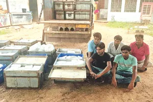 1000 किलो मिलावटी नकली पनीर जब्त, पांच जने हिरासत में