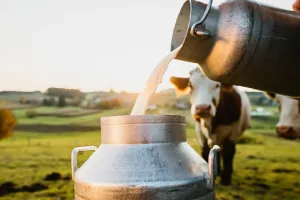 अमेरिकन दूध और दुग्ध उत्पादों का आयात पशुपालकों के हितों पर कुठाराघात : चौधरी