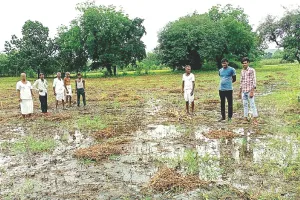 असर खबर का - मौसम खुला तो खेतों में पहुंचे अधिकारी