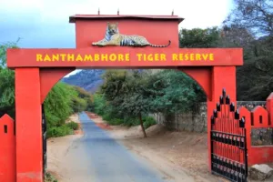 पर्यटकों के लिए रणथंभौर टाइगर रिज़र्व की नई बुकिंग वेबसाइट शुरू