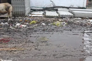 कोटा दक्षिण वार्ड 14 - गंदगी व स्पीड ब्रेकर दे रहे लोगों को दर्द