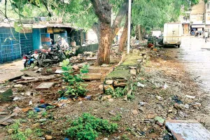 कोटा दक्षिण वार्ड 22- सब्जीमंडी के शौचालय पर ताला, सड़कों पर पशुओं के जमावड़े से राहगीर परेशान 