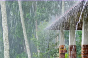 प्रदेश में फिर शुरू हुआ भारी बारिश का दौर : कई इलाकों में बाढ़ के हालात, अलर्ट जारी