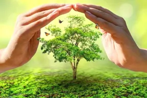 वृक्षारोपण के साथ पेड़ों की सुरक्षा भी जरूरी