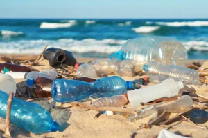 पर्यावरण पर प्लास्टिक प्रदूषण का शिकंजा