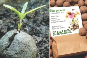 वन विभाग का नवाचार, पहली बार तकनीक का प्रयोग :  हरियाली के लिए अरावली की पहाड़ियों पर ड्रोन से फैंके जा रहे सीड 