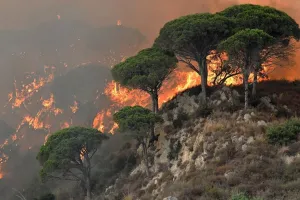 दक्षिणी कैलिफोर्निया में तेजी से फैल रही आग : क्षेत्र को खाली करने के आदेश, लोगों के लिए जारी की चेतावनी