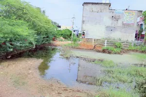 हो सकता है लार्वा विस्फोट, डेंगू का खतरा 