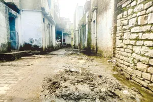 कागजों में ही दौड़ रहे सफाई के घोड़े