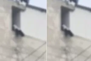 नीट की तैयारी कर रही छात्रा ने की आत्महत्या की कोशिश, टीचर बने जीवनदाता