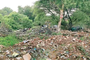 कोटा दक्षिण वार्ड 41-वार्ड में खाली प्लॉट बने कचरा पॉइन्ट 