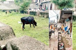 कोटा उत्तर वार्ड 69 - साहब! वार्ड में अतिक्रमण की भरमार, नहीं सुन रहे जनप्रतिनिधि हमारी पुकार