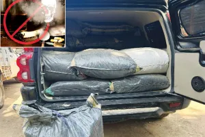 बेखौफ स्कूल, कॉलेज व गलियों में आसानी से मिल रहा नशा