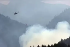 कनाडा में बिजली गिरने के कारण लगी आग : जंगल की आग बुझाते समय हेलीकॉप्टर क्रैश, पायलट सुरक्षित