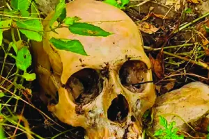 नाहरगढ़ पहाड़ी पर मिले कंकाल से हड़कम्प : एफएसएल टीम ने जुटाएं साक्ष्य,  बड़ी संख्या में एकत्रित हुए लोग 