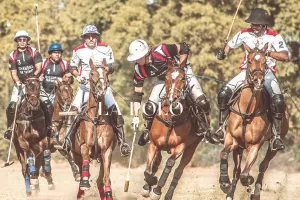 बदले नियमों से खेला जाएगा सितम्बर पोलो सीजन : चक्कर हॉफ समाप्त, खिलाड़ी बीच में घोड़ा बदलने जाएगा तो नहीं रुकेगी घड़ी