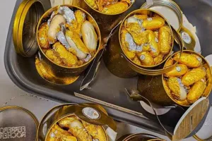 तमिलनाडु में कोकीन तस्करी गिरोह का भंडाफोड़ : 56 करोड़ रुपए मूल्य के 5.618 किलोग्राम नशीले पदार्थ जब्त