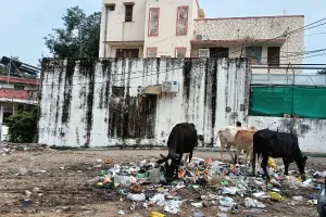 कोटा उत्तर वार्ड 7 - वार्ड में नहीं है स्वास्थ्य केंद्र, सुरक्षा और सफाई पर भी उठ रहे सवाल