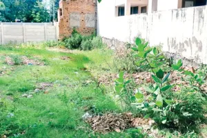 कोटा दक्षिण वार्ड 27- खाली प्लॉट व आवारा कुत्ते बने परेशानी, रोड पर गड्ढों की भरमार