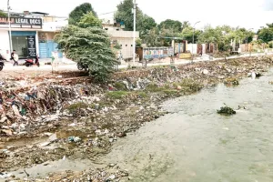 कोटा उत्तर वार्ड नं. 13- राजपूत कॉलोनी में आता है नाले का गंदा पानी