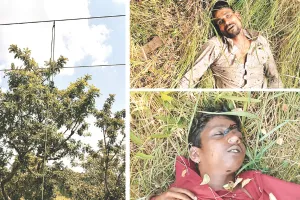 हाईटेंशन लाइन के तार चोरी करंट से दो युवकों की मौत : उदयपुर जिले के सायरा थाना क्षेत्र की घटना, नहीं हुई मृतकों की पहचान