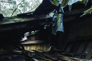 पाकिस्तान में अकादमी की गिरी छत : बच्चों सहित 7 लोगों की मौत, कई घायल