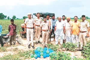 खेत में मिले पाकिस्तानी गुब्बारे लिखी थी उर्दू में इबारत : खेत मालिकों ने पुलिस को दी सूचना  