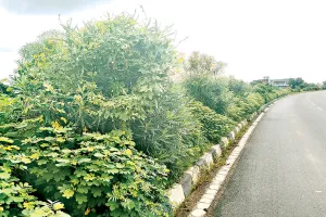 खतरनाक सफर: नेशनल हाइवे 27 पर मौत के गड्ढे, अव्यवस्था से बढ़ रहे हादसे