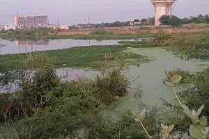 कोटा उत्तर वार्ड 31 में समस्याओं का अंबार, टूटी सड़कें, बंद रोड लाइटें, नहीं हो रही नालियों की सफाई