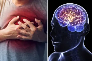 दो दिवसीय सीएमसीएच कॉन्क्लेव 2025 संपन्न : 80 से भी ज्यादा कार्डियोलॉजिस्ट ने लिया भाग, नई दवाओं से हार्ट अटैक व ब्रेन स्ट्रोक का खतरा 35 फीसदी हुआ कम