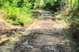 बपावरकलां में आसान नहीं है अंतिम यात्रा : कई बार लगाई प्रशासन से गुहार, लेकिन नहीं हुई सुनवाई