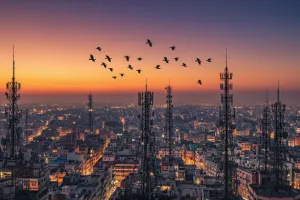 शहरों से लुप्त कागा, ढूंढने से भी नहीं मिल रहा कौवा