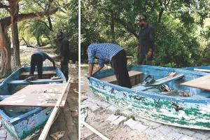 केवलादेव राष्ट्रीय उद्यान एक बार फिर प्रवासी परिंदों की चहचहाट से गूंजना शुरू : बोट्स की हो रही रिपेयरिंग, झलकेगा पक्षियों का संसार