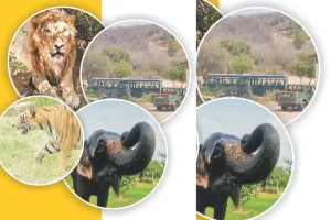 विश्व पर्यटन दिवस आज : किले-महलों के साथ वाइल्डलाइफ भी अब पर्यटकों की पहली पसंद, हाथी गांव में हाथी की सवारी भी बेहद लोकप्रिय