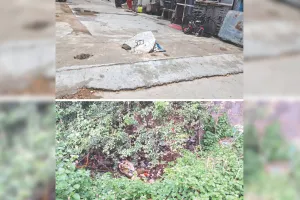 कोटा दक्षिण वार्ड 28 : नालियों के टूटे ढकान, मनमर्जी के स्पीड ब्रेकर व खाली प्लॉट बने परेशानी; हर तरफ गड्ढों से राहगीर परेशान