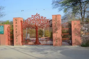 वन्यजीव सप्ताह 2 से 8 अक्टूबर तक मनाए जाने की घोषणा, प्रतियोगिताओं के माध्यम से बच्चों और युवाओं में जगाई जाएगी रुचि 