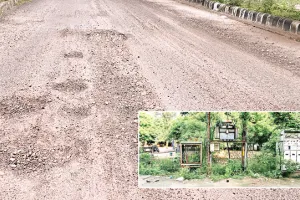 कोटा दक्षिण वार्ड 51 - बारिश में सड़कों के गढ्डे व आवारा कुत्तों से राहवासी परेशान