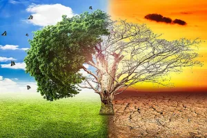 जलवायु परिवर्तन और शहरीकरण से बढ़ते सक्रंमण