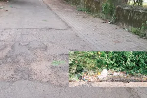 कोटा उत्तर वार्ड 30 - नांता बड़ला में सालों से नहीं बनी नालियां, गंदे पानी से भरे प्लॉट, अधूरे कॉम्प्लेक्स से बढ़ी परेशानी