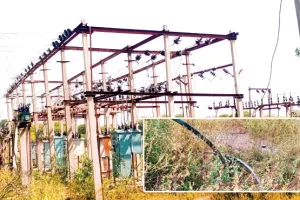 बांसी जीएसएस झाड़-झंखाड़ से घिरा, कर्मचारियों की सुरक्षा व जीएसएस पर संकट