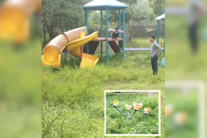 नयापुरा स्थित सीवी गार्डन का मामला : कीड़े कांटों का डर, किड्स जोन बना बच्चों के लिए खतरा, झूलों के आस-पास उगी है बड़ी-बड़ी घास