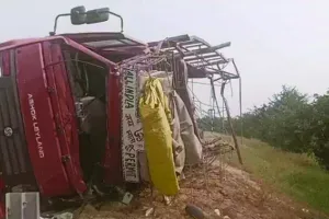 बस की टक्कर से पलटा ट्रक : हादसे में 6 लोग घायल, बस चालक और परिचालक मौके से फरार 