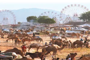 श्री पुष्कर मेला के कार्यक्रमों के फोल्डर का विमोचन, पशुपालन विभाग एवं पर्यटन विभाग द्वारा विभिन्न कार्यक्रम आयोजित