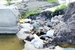 अटरू क्षेत्र की माइनरें बदहाल, किसानों की बढ़ी चिंता, शेरगढ़ बांध की रीछन्दा माइनर दो साल से क्षतिग्रस्त